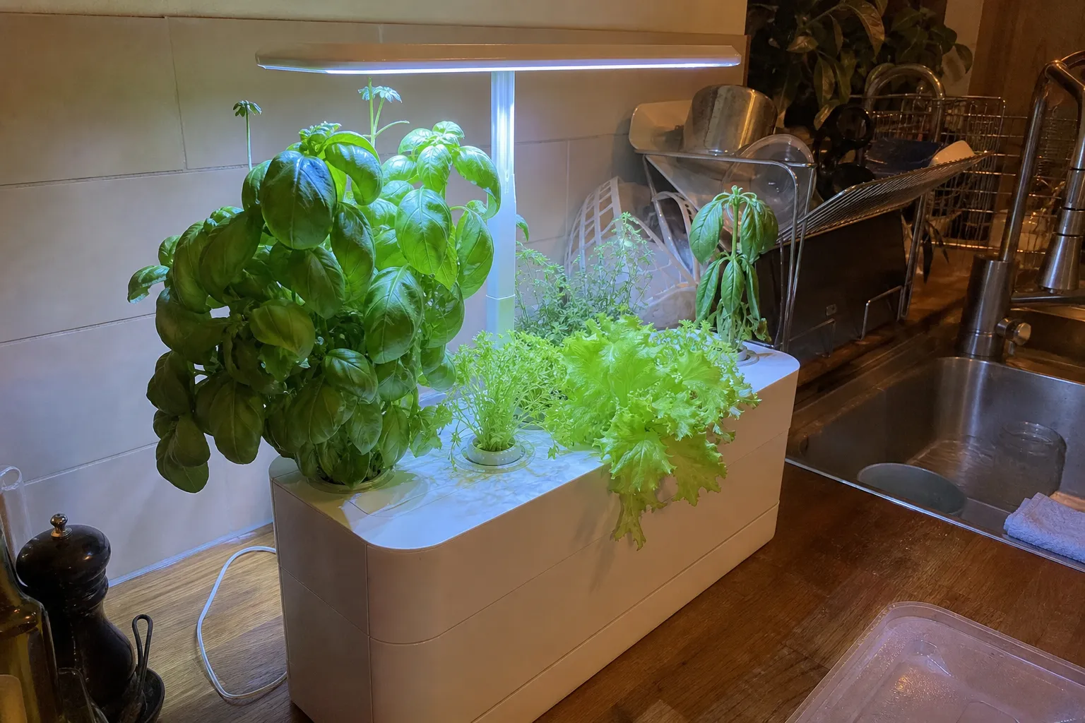 Ett hydroponiskt odlingskit med LED-belysning och örter på en köksbänk bredvid diskhon